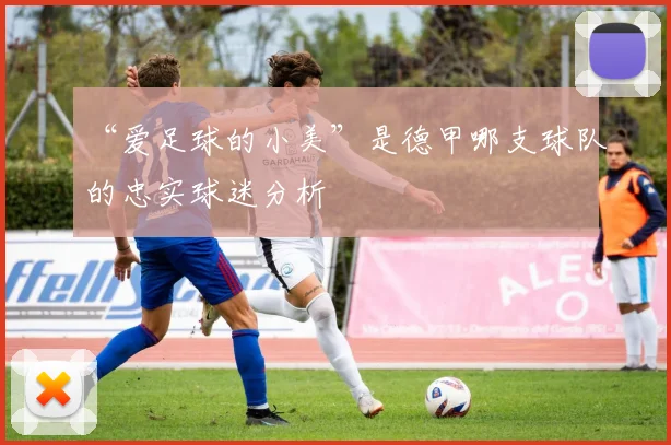 “爱足球的小美”是德甲哪支球队的忠实球迷分析