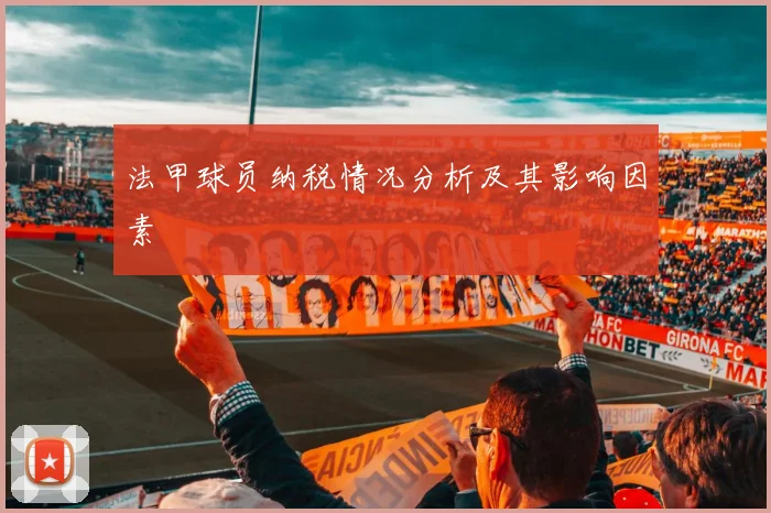 法甲球员纳税情况分析及其影响因素