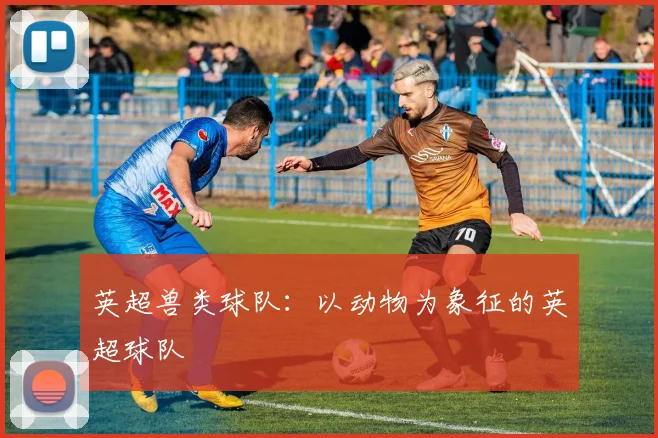 英超兽类球队：以动物为象征的英超球队
